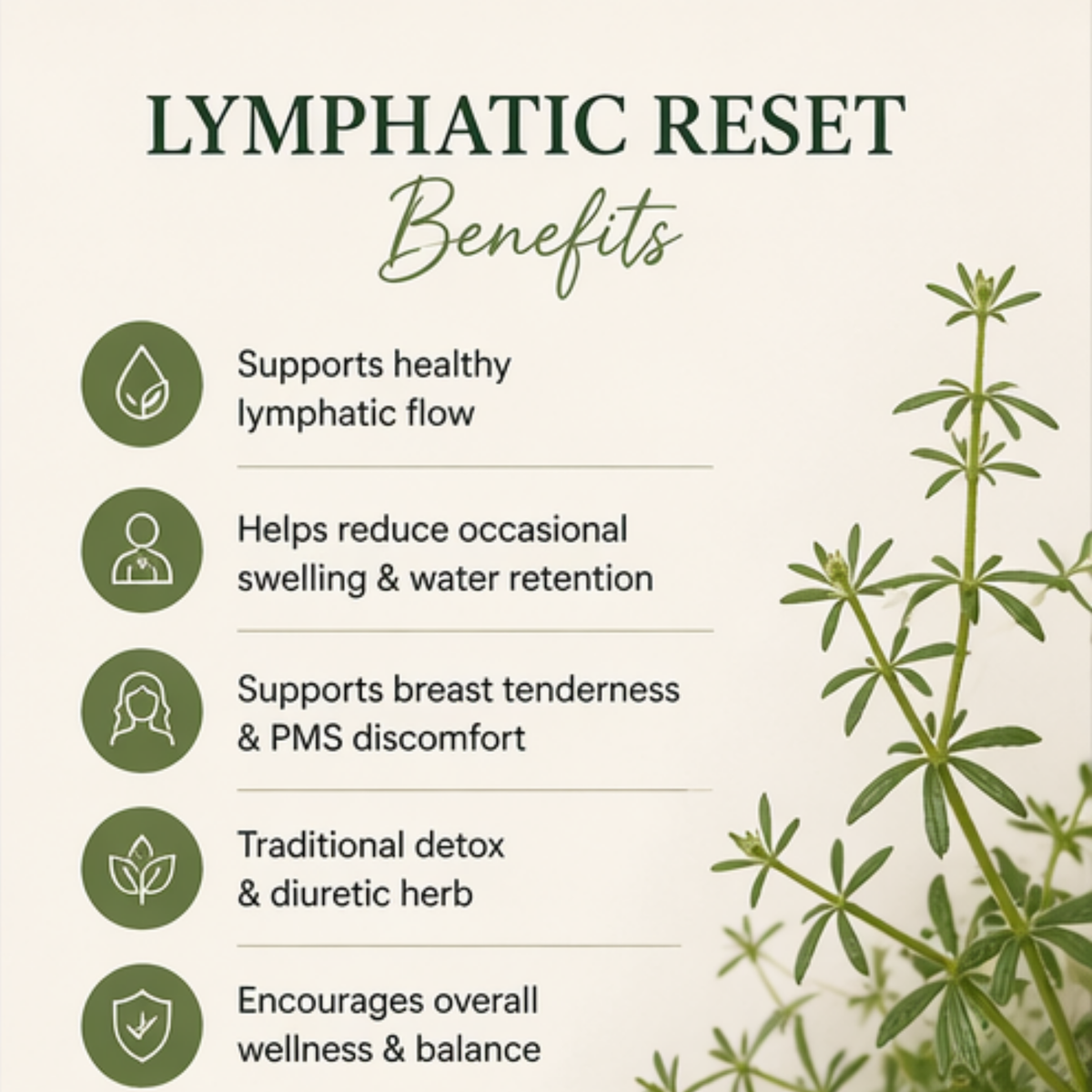 Lymphatic Reset Cleavers Tincture